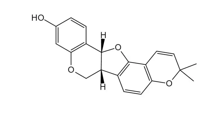 Mycoporphyrin.jpg Mycoporphyrin.jpg