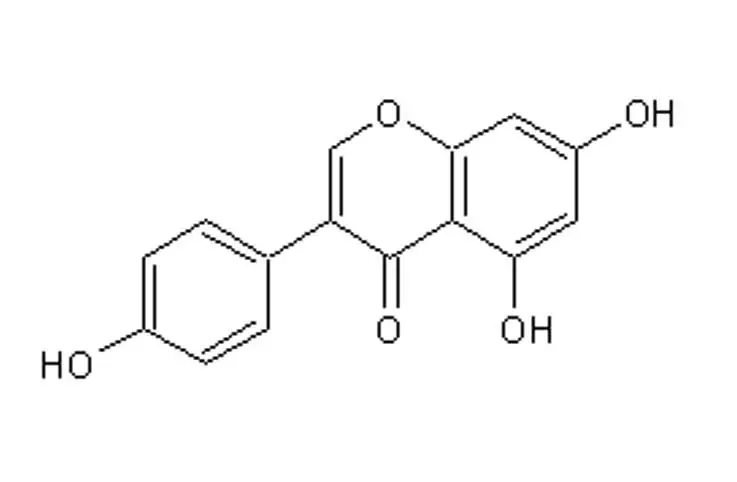 Mycoporphyrin.jpg Mycoporphyrin.jpg