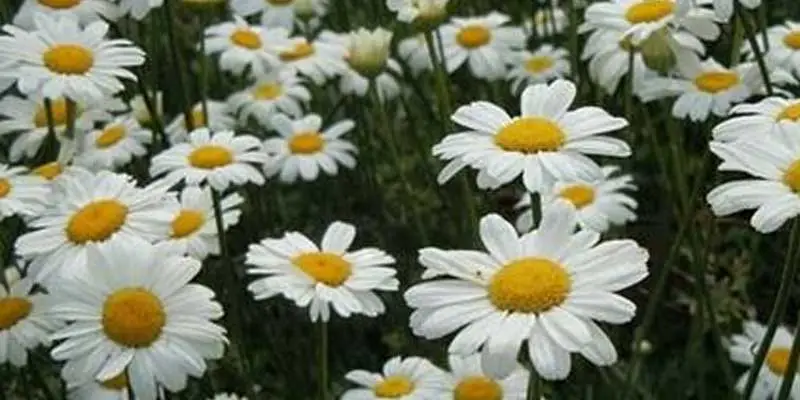 product-1-1 product-1-1